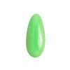 Лак-краска для Nailart пастель зеленая 8мл (60)