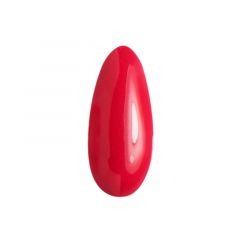 Лак-краска для Nailart малиновая 8мл (39)
