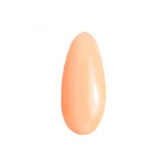 Лак-краска для Nailart пастель оранжевая 8мл (58)