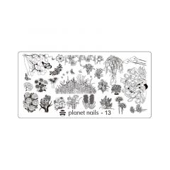 Пластина для Stamping Nail Art №13