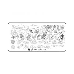 Пластина для Stamping Nail Art №30