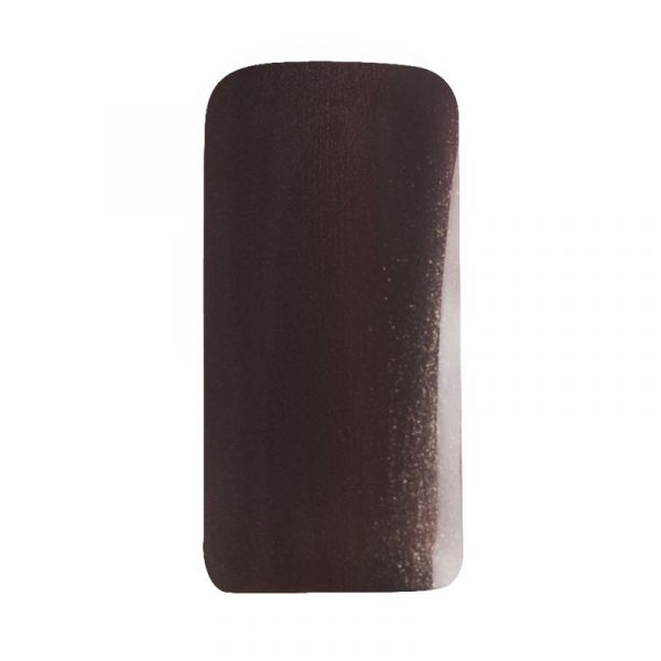 Гель Planet Nails - Farbgel цветной шоколадный 5г