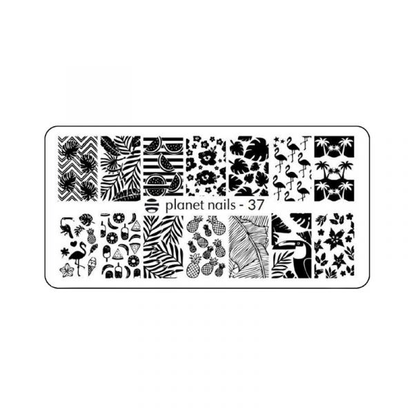 Пластина для Stamping Nail Art №37
