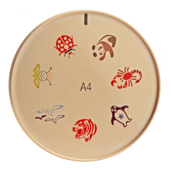 Штамп для дизайна NailStylist Art Stamp, изображение 6